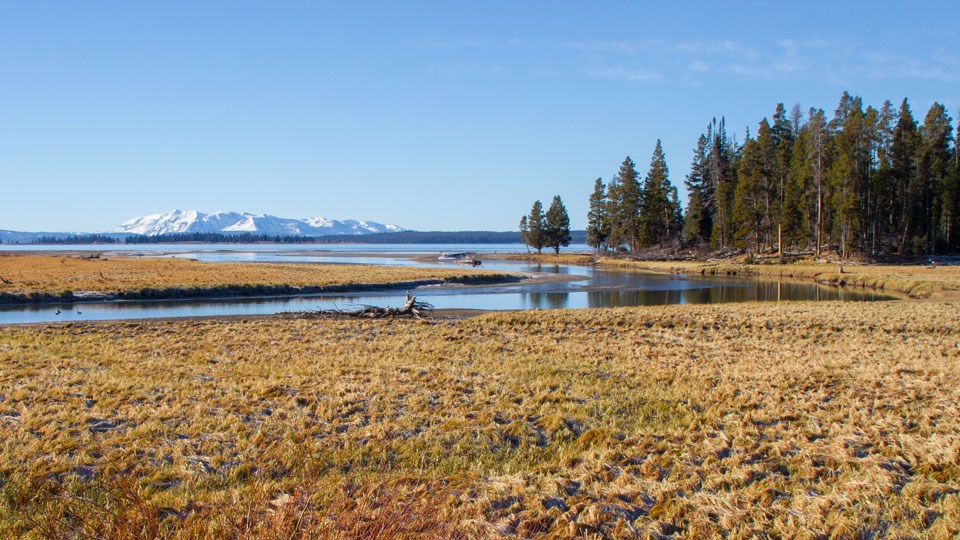 Pelican Creek A creek meanders into Yellowstone Lake with mountains in the distance.