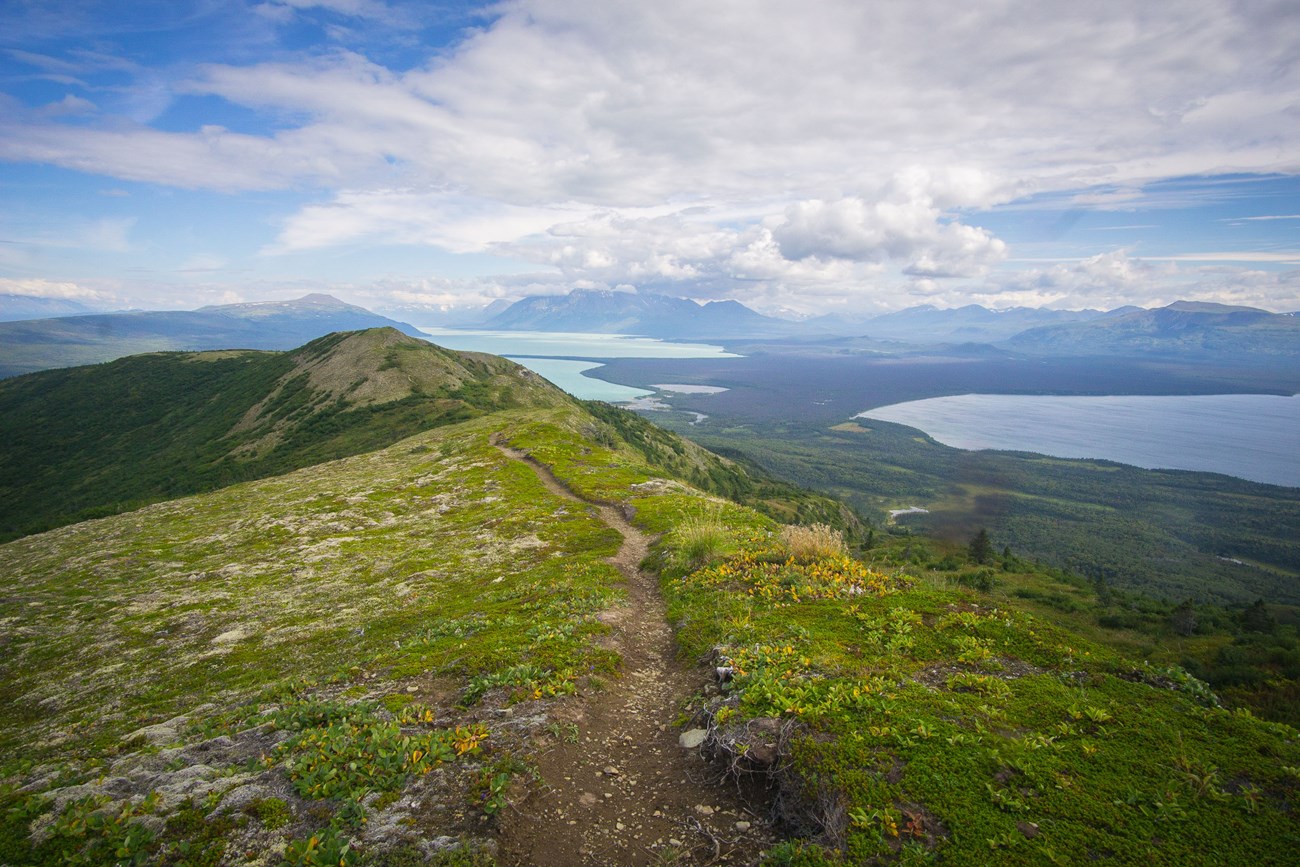 A trail with grassy tundra on either side. Mountains and lakes in distant background.