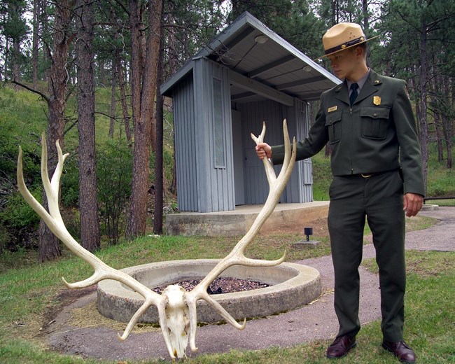 a ranger displaying an elk skull with large antlers in a forested amphitheater