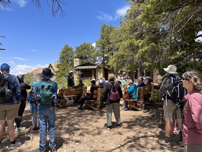 A crowd gathers in the shade of pine trees to hear a speaker on the North Rim of Grand Canyon.