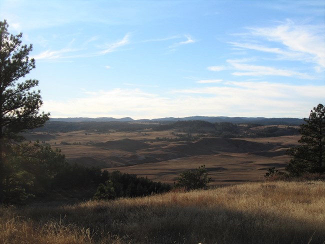 rolling prairie hills viewed from a tall hill with mountains covered in trees in the distance