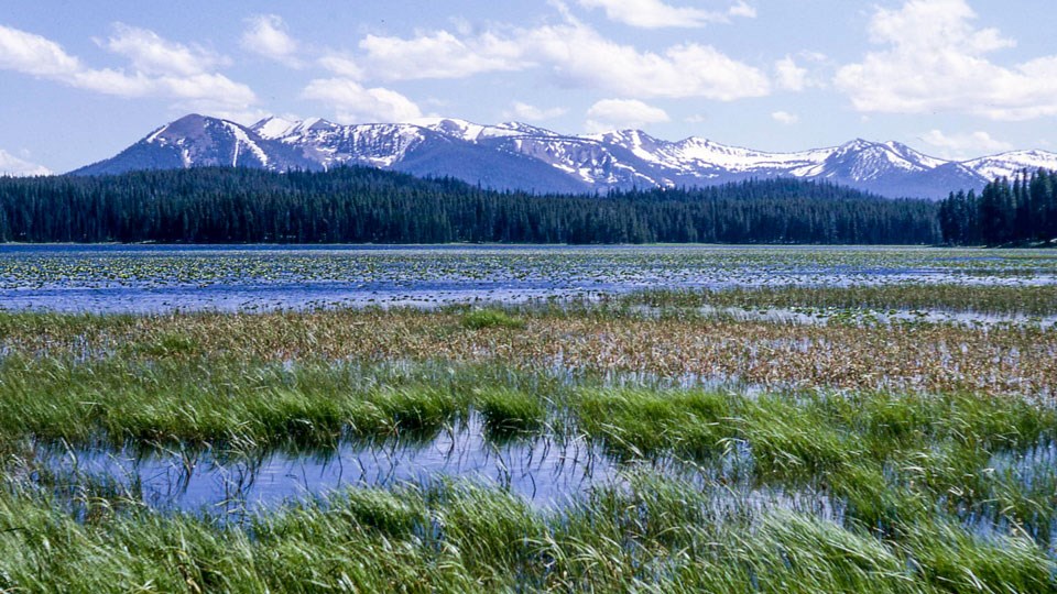 Wetlands and the water of Riddle Lake stand before snow-capped mountains.