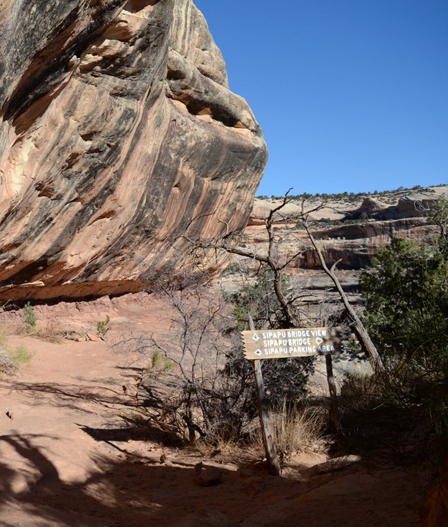 orientation sign on Sipapu bridge trail