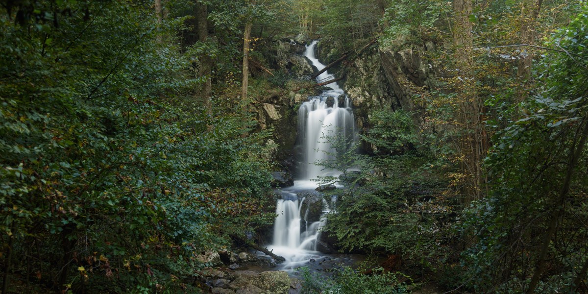 Upper Doyles River Falls A waterfall is surrounded by a dense, green forest.