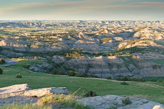 Green grass and trees mixed in badlands topography.
