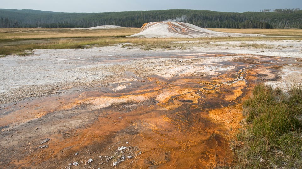 Hydrothermal features in Sentinel Meadows Orange runoff channels lead away from hydrothermal features standing in a field.