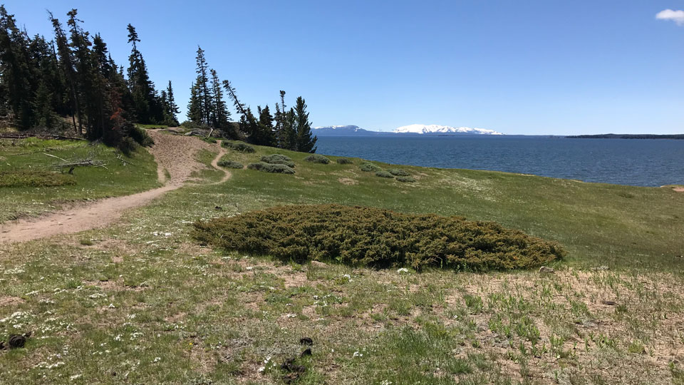 yellowstone day hikes