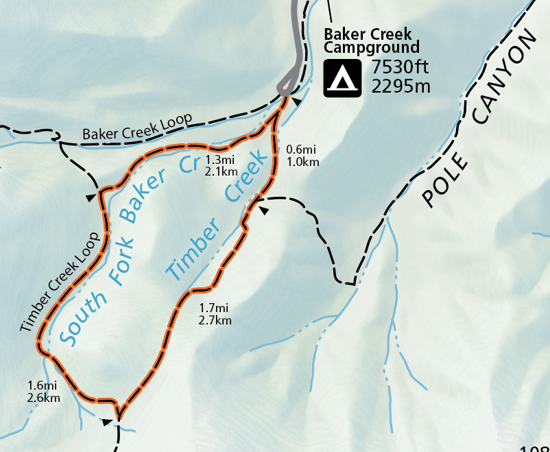 Timber Creek Trail Highlight A color image of a selection of the official park map. A grey road emerges from the top and connects to an orange highlighted trail labeled "Timber Creek Loop"