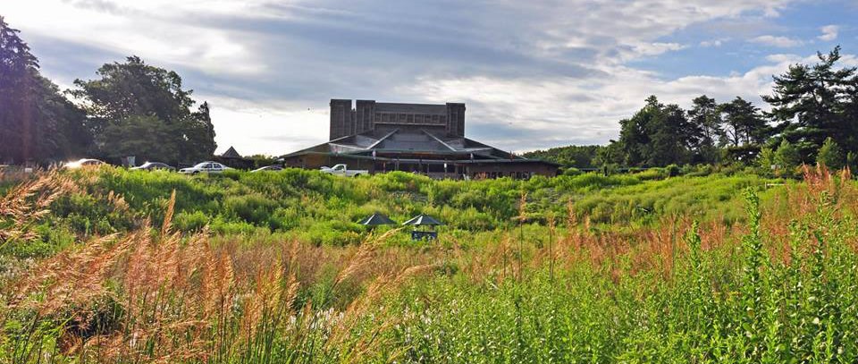 The native meadow in front of the Filene Center serves as an outdoor classroom.