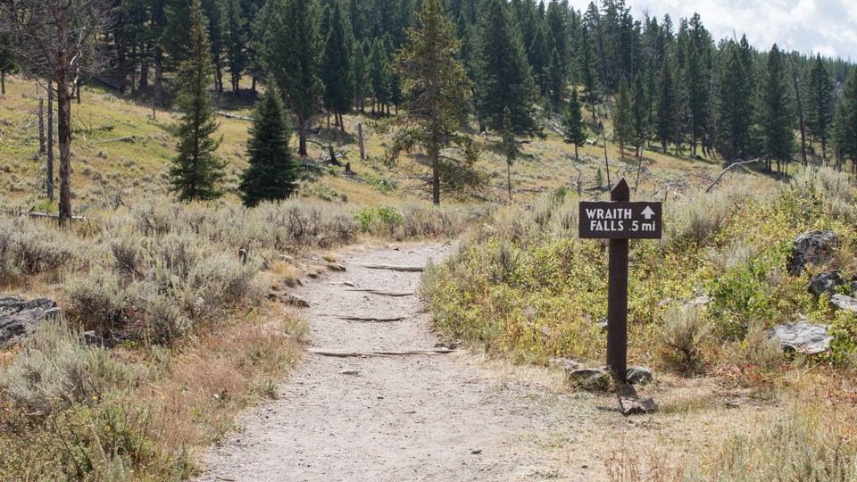 Sign at the start of Wraith Falls Trail Brown wooden sign with "Wraith Falls .5 miles" marks the start of the tan dirt trail.
