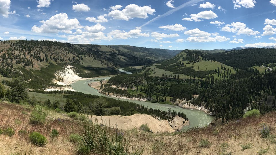The Yellowstone River snakes its way through a valley with yellow-colored cliffs cut into the river bank