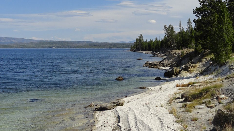 Rocky shoreline of Yellowstone Lake with conifer forests dotting the shoreline.