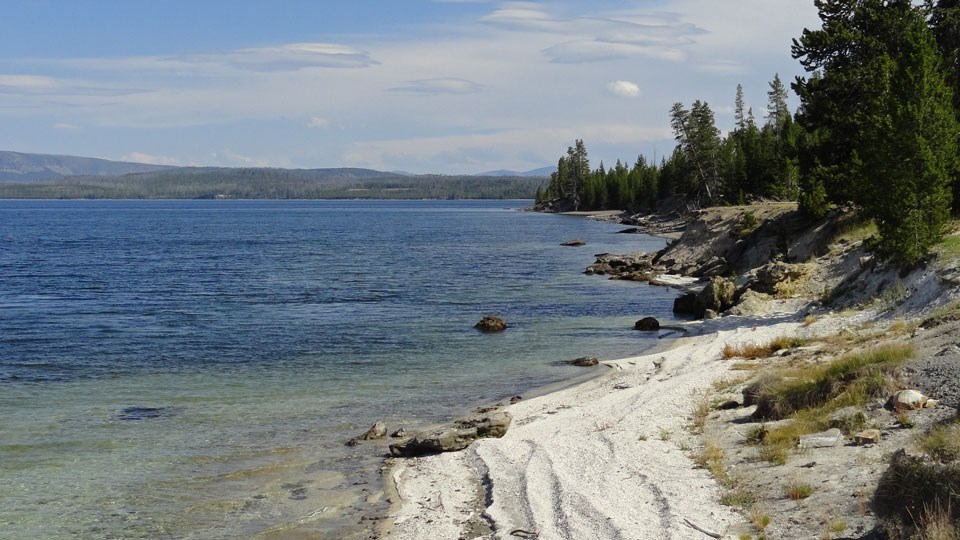 Shoreline of Yellowstone Lake near West Thumb Rocky shoreline of Yellowstone Lake with conifer forests dotting the shoreline.