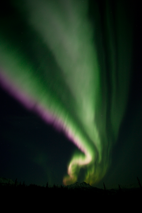 aurora aurora