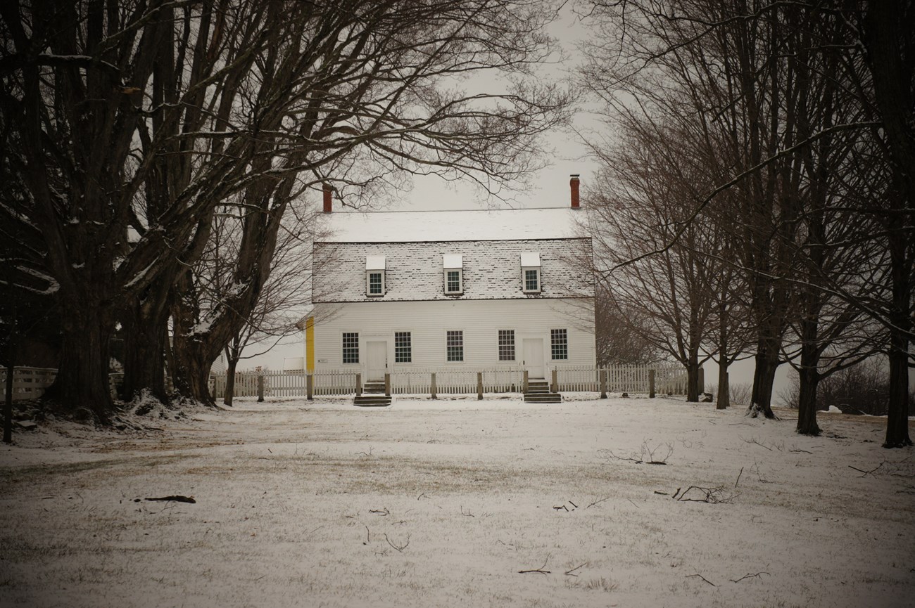 long tree flanked common leading to a white clapboard building