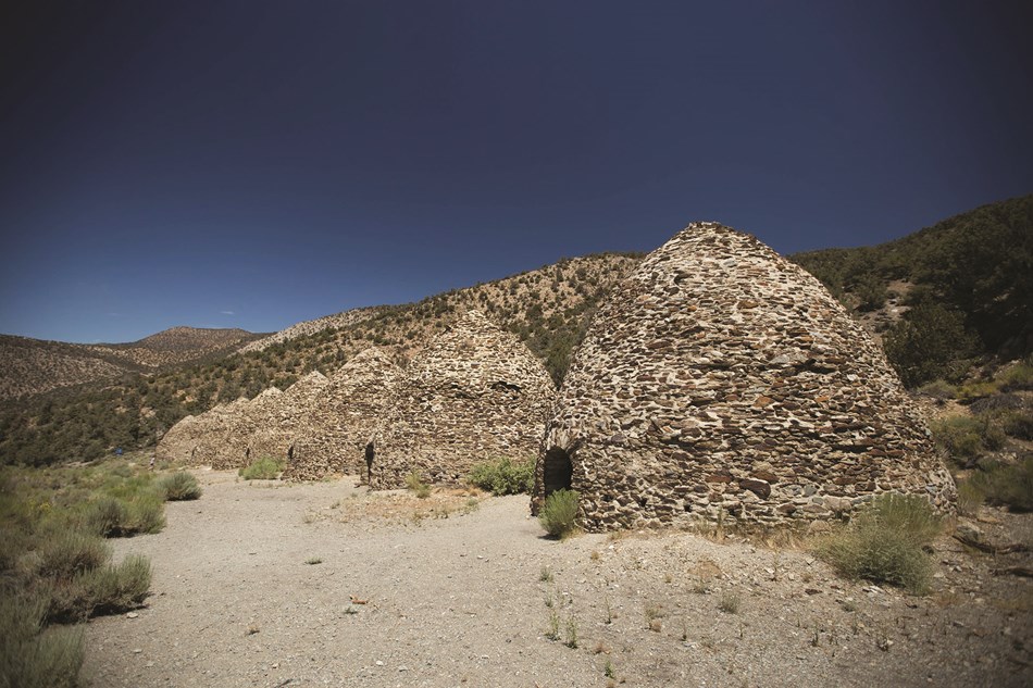 Beehive shaped, brick buildings, 25 ft high in a row, with small openings, set in a forest of shrubby pines. Beehive shaped, brick buildings, 25 ft high in a row, with small openings, set in a forest of shrubby pines.