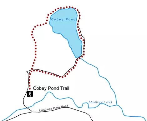 map: cobey pond in upper right corner. Trail starts southwest of pond, goes north then becomes a loop that heads connects to south tip of pond, goes around its east and north sides, then curves south to finish loop. Trailhead is off of masthope plank Rd.