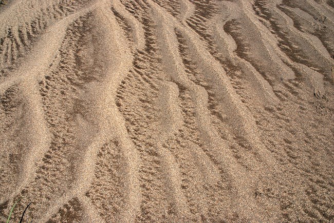 Coarse sand forms ripples over finer-grained sand