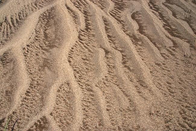 Ripples in Sand Coarse sand forms ripples over finer-grained sand
