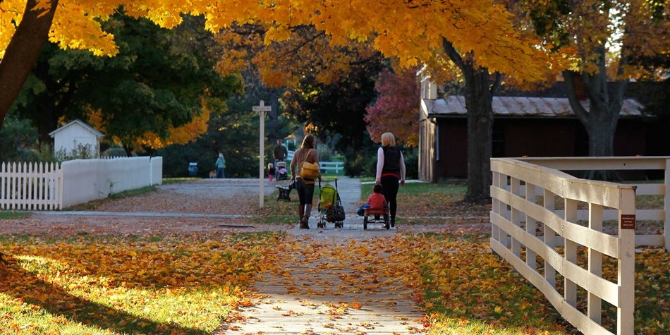 Mothers walk with their young children in a park with bright autumn foliage. Mothers walk with their young children in a park with bright autumn foliage.