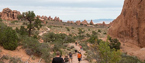 people walk on a gravel trail surrounded by small trees and sandstone formations people walk on a gravel trail surrounded by small trees and sandstone formations