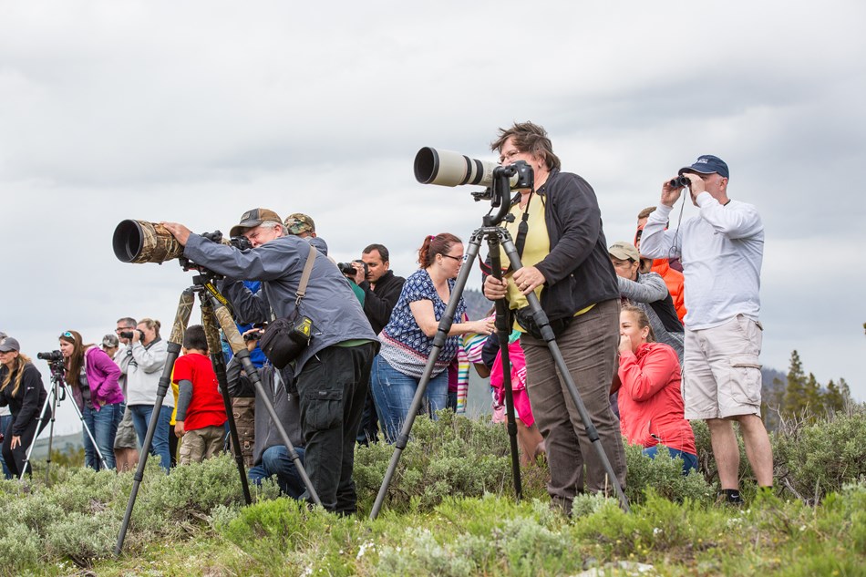 A group of people with long camera lenses focus on something in the distance. A group of people with long camera lenses focus on something in the distance.