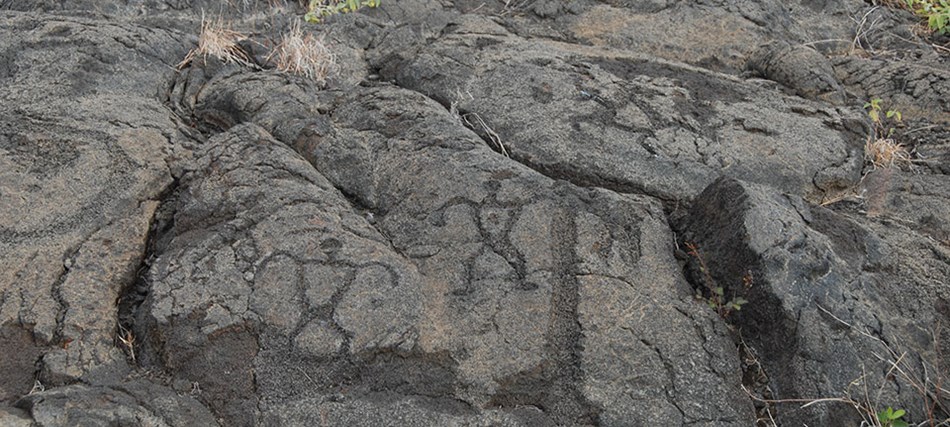 Pu‘u Loa Petroglyph Field Boardwalk Pu‘u Loa Petroglyph Field Boardwalk