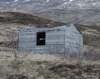 a worn cabin in a meadow