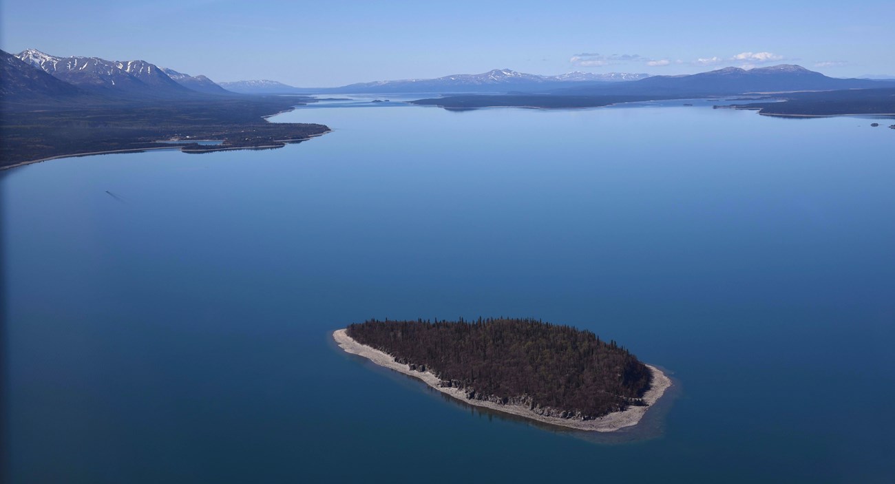 An aerial view of an island in the blue waters of Lake Clark