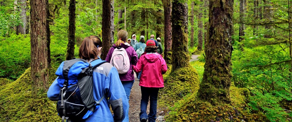 a group of people walk on a trail through a mossy rainforest a group of people walk on a trail through a mossy rainforest