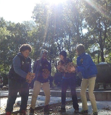 Youths playing in leaves on Theodore Roosevelt Island