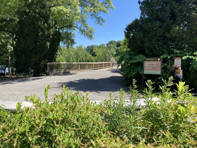 Image of the footbridge onto the island.
