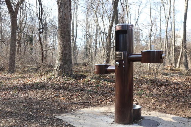 A metal drinking fountain with spouts of different heights on either side of a water bottle filler in the middle and a pet bowl at the base on a concrete pad surrounded by trees.