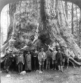 Theodore and friends in Yosemite. Theodore and friends in Yosemite.