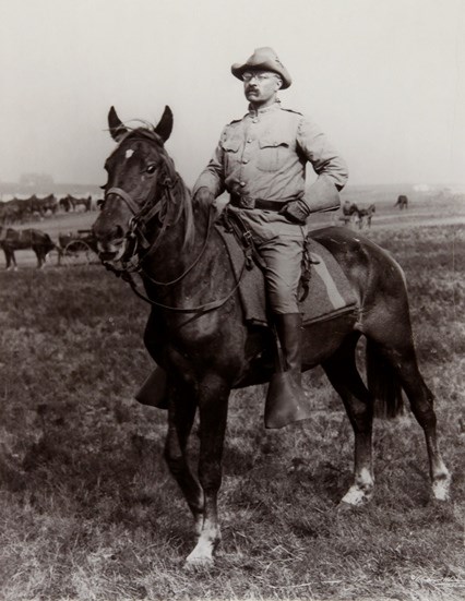 Colonel Theodore Roosevelt