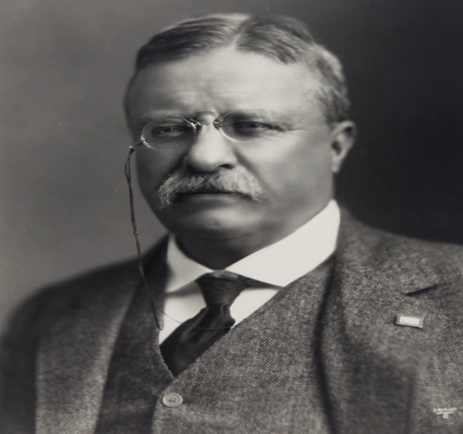 Sepia headshot of Theodore Roosevelt