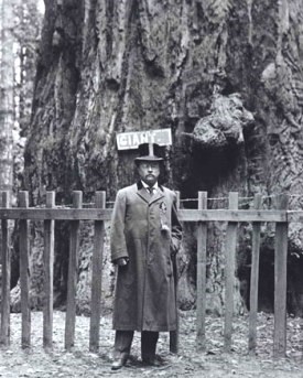 TR at Yosemite