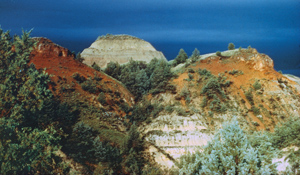 Colored clays and soils were used to make paint.