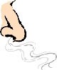 Cartoon nose Cartoon nose