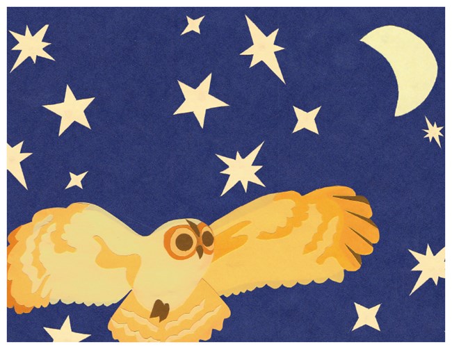 Construction paper cutout of night sky with owl.