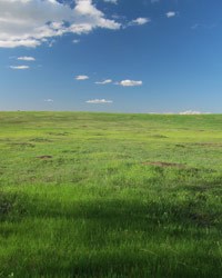 North Dakota prairie grassland