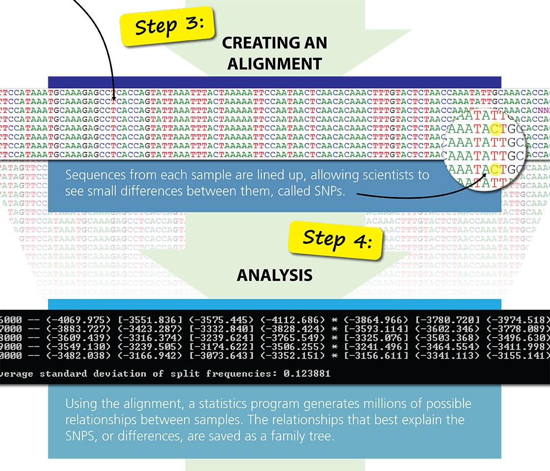 Steps 3 and 4. Full alternate text at bottom of page