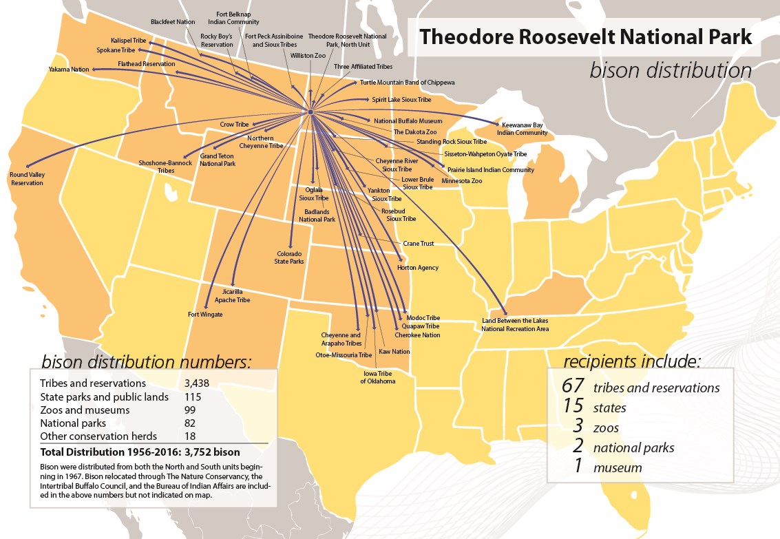 A map with arrows leading out from TRNP to all the locations to which park bison have been transferred A map with arrows leading out from TRNP to all the locations to which park bison have been transferred