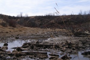 Wannagan Seeps