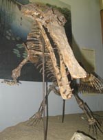 champsosaurus gigas