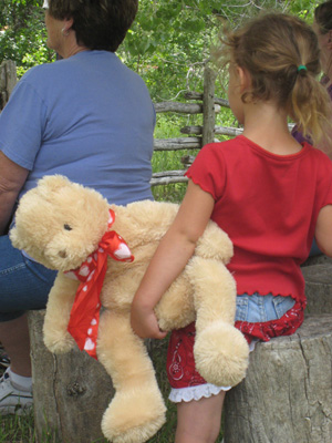 Teddy Bear Picnic