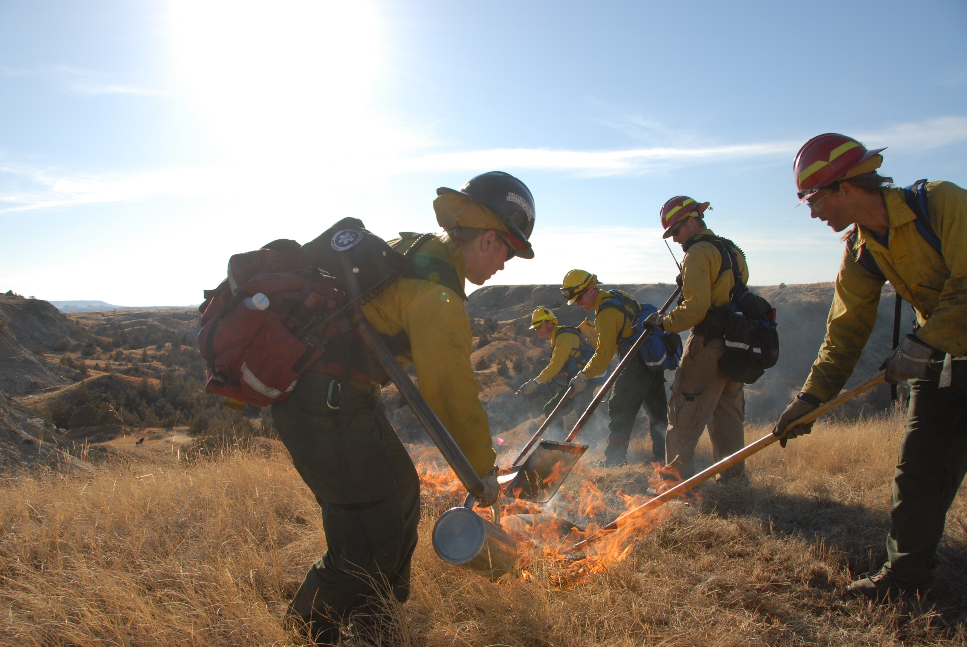 Five firefighters are performing a prescribed burn on dead grasses.