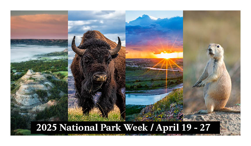 National Park Week 2025 An advertisement for National Park Week 2025 (April 19 - 27) showing photos of the badlands, a bison, the Little Missouri River, and a prairie dog.