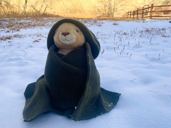 A prairie dog plushie sits in the snow wearing a green beanie and green scarf wrapped around him.