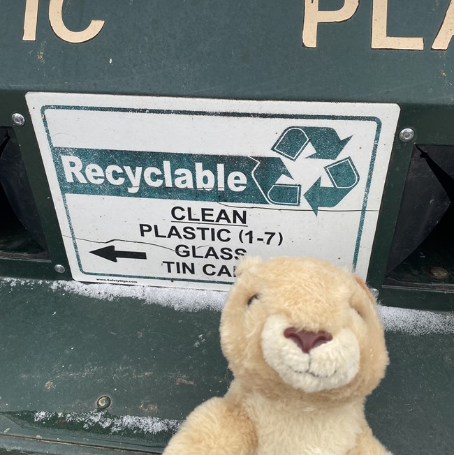 A prairie dog plushie takes a selfie in front of a green bin with a sign that says "Recyclable: Plastic (1-7), Glass, Tin Cans".